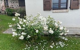 Romantico Cottage